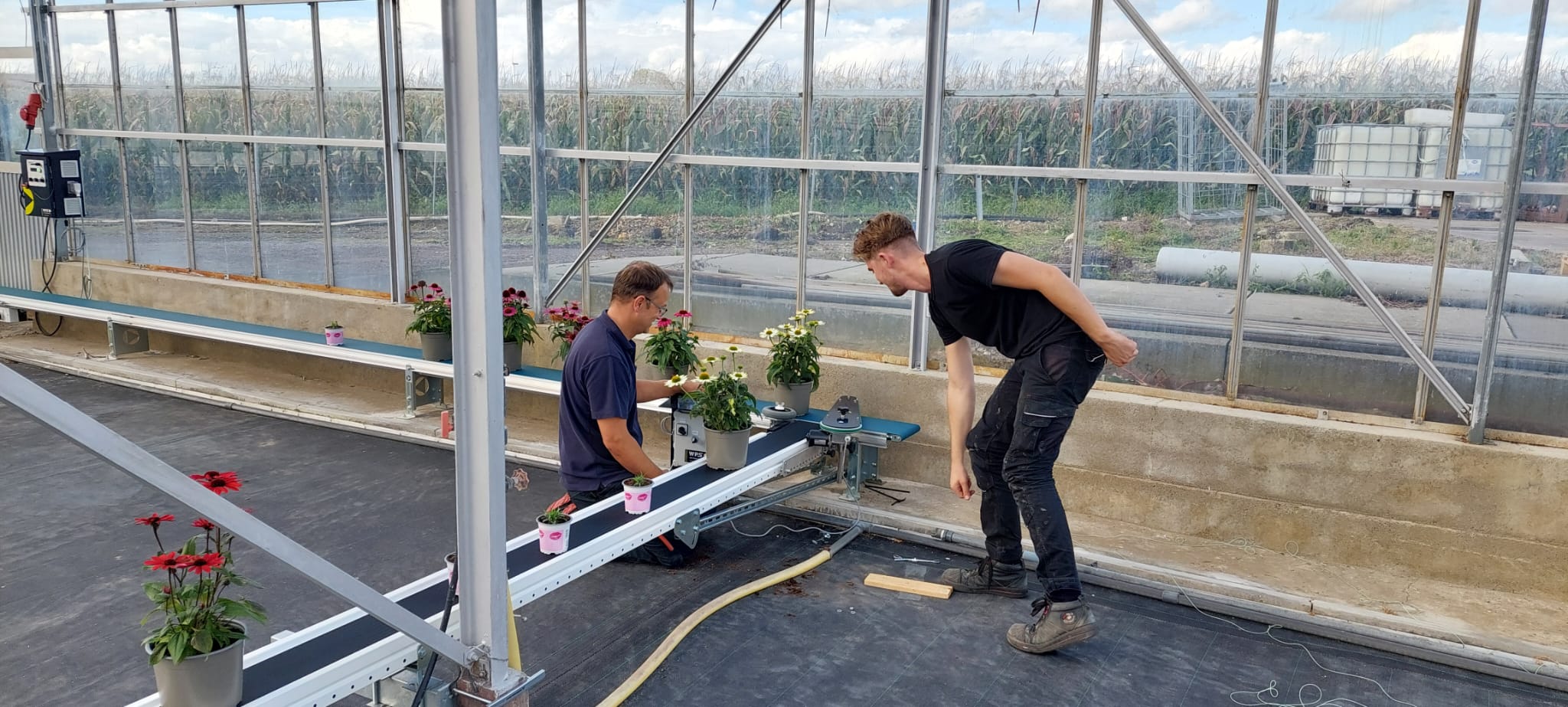 Afbeelding van WhatsApp op 2024-10-01 om 07.55.10_06e7ee9f