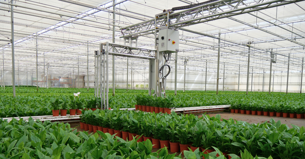 Floormanager van WPS