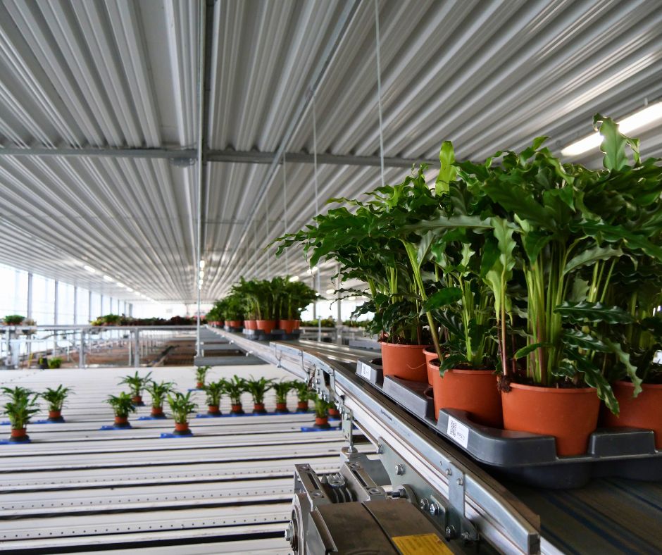 Plan in tray naar afleverrollersysteem