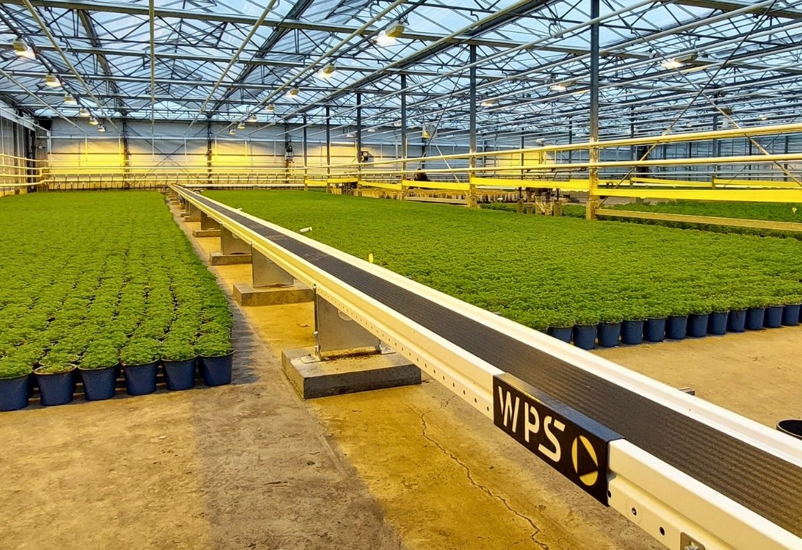 WPS projecten verkleind (20)