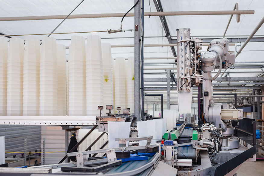 WebRes_5979_FDF_260129