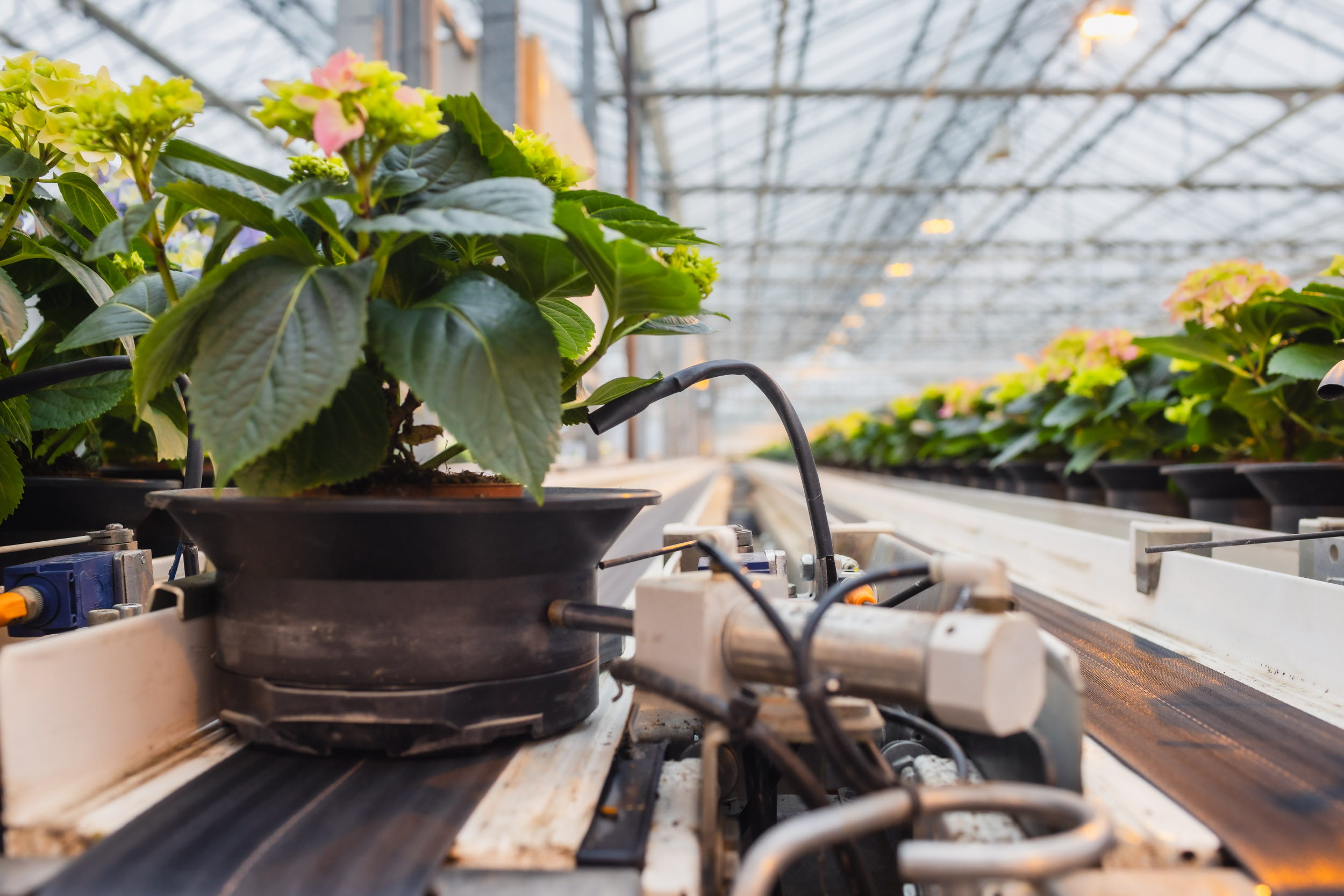 WebRes_6823_FDF_260202