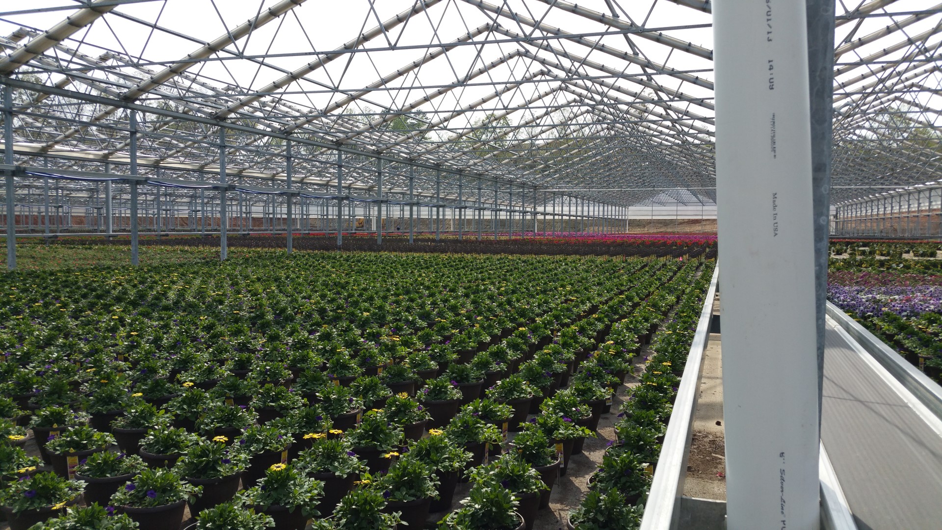 Rockwell Farms 2