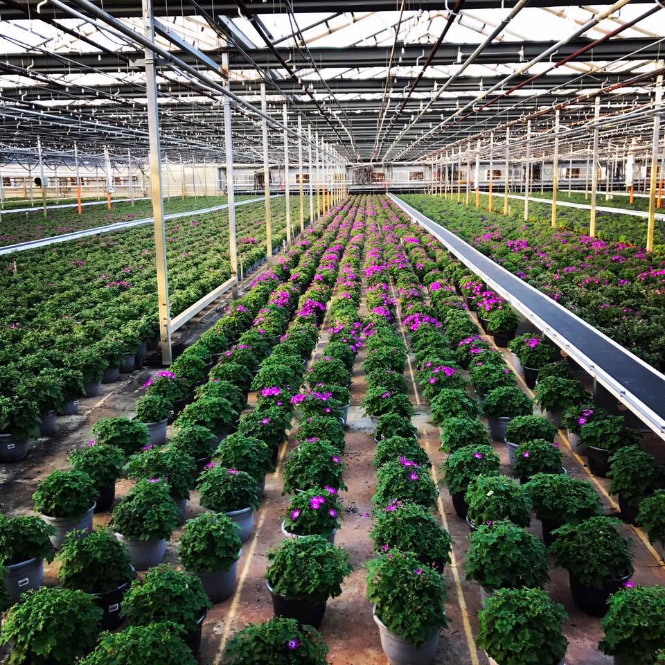 Rockwell Farms 3