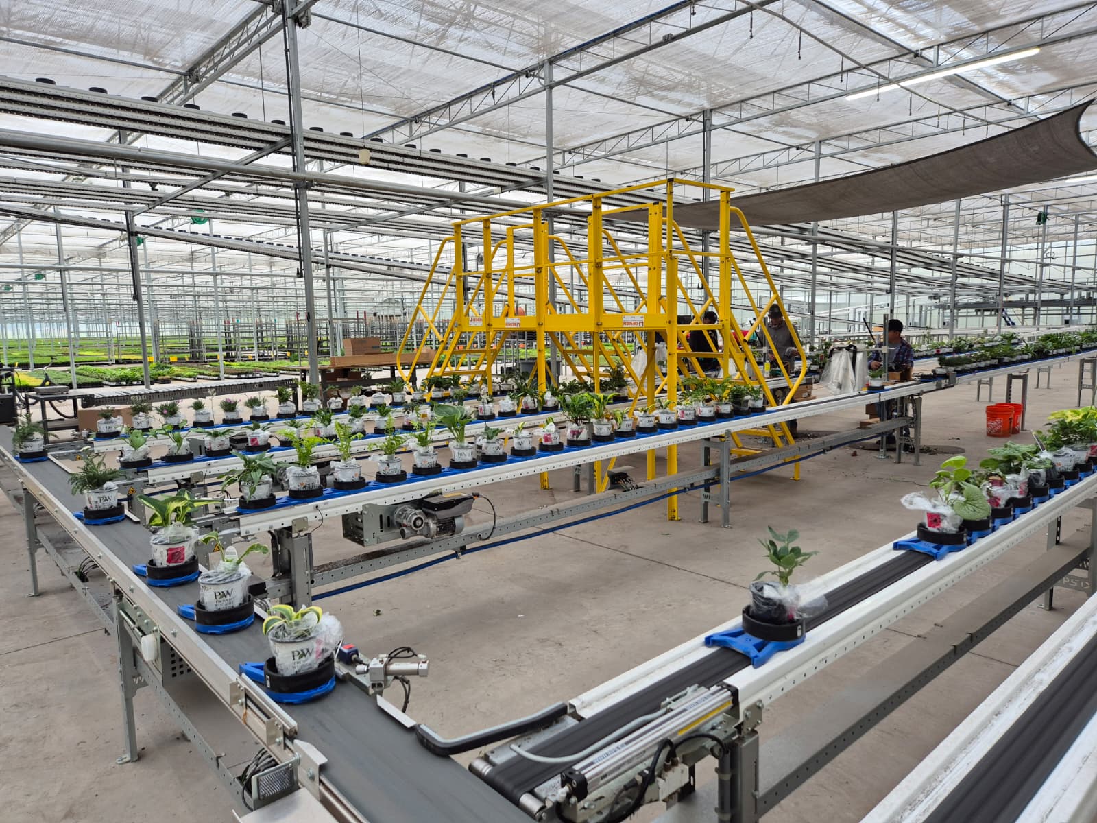 Spring Meadow Nursery automation of WPS